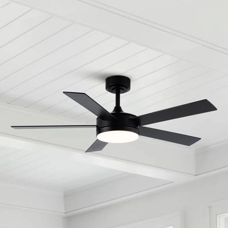 48" 5 - Blade Modern Black Ceiling Fan with LED Lights and Remote Control